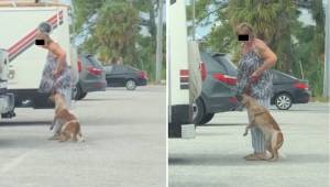 Kvinden var lige ved at kvæle hunden, da hun trak den afsted i snoren. En forbip